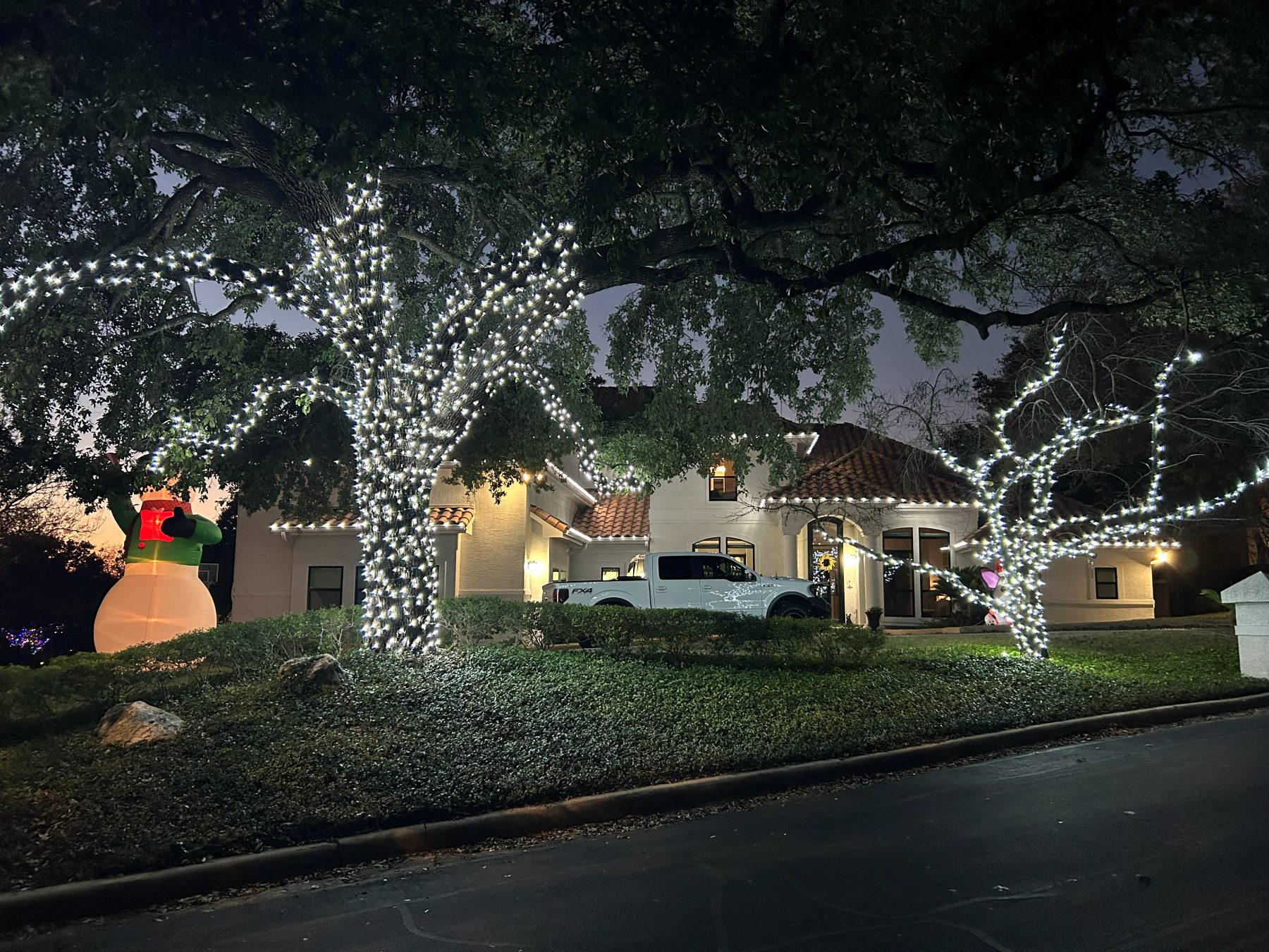 Oak trees wrapped in cool white lights in front of a Mediterranean-style home