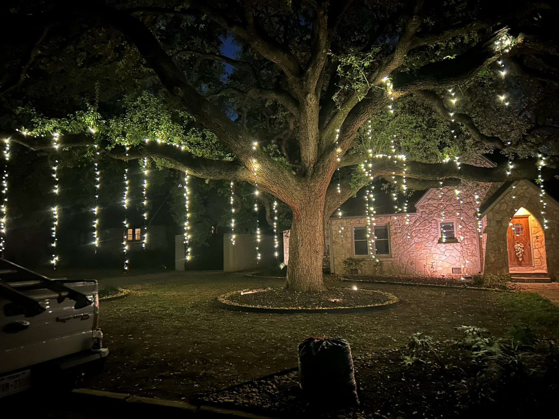 Strands of lights hanging down from a large oak canopy in front of a stone cottage