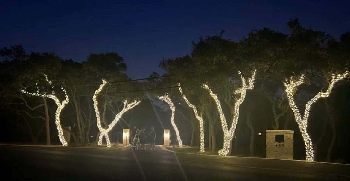 Row of trees along a neighborhood entrance wrapped in warm white lights